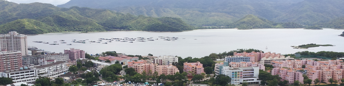 沙頭角物業代理,沙頭角沙頭角一號地產有限公司,STK 1 Properties Limited,樓盤買賣,網上搵樓,筍盤,買樓,租樓,放盤,搵樓,屋苑,二手樓,一手樓