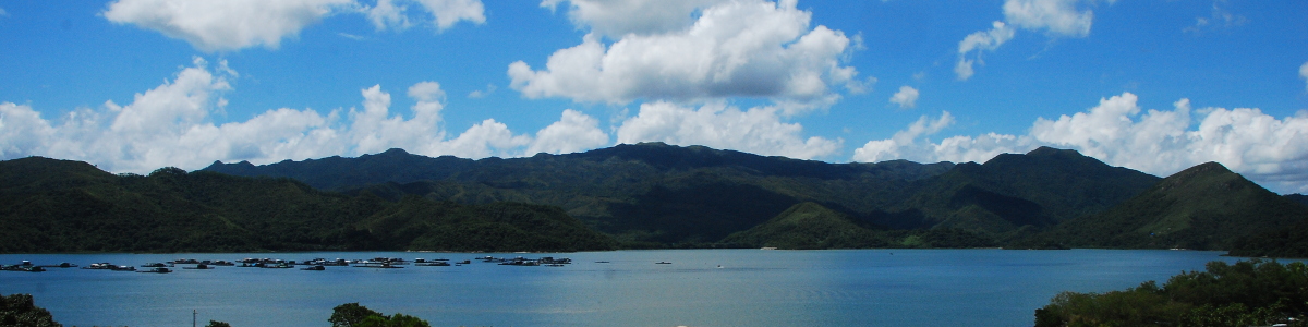 沙頭角物業代理,沙頭角沙頭角一號地產有限公司,STK 1 Properties Limited,樓盤買賣,網上搵樓,筍盤,買樓,租樓,放盤,搵樓,屋苑,二手樓,一手樓